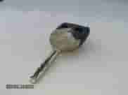 1998 Lexus SC 300 with VIN JT8CD32ZXW1003553, listed as a IAAI auction lot 43553081 with Not provided miles and . Bid and sale history available at DreamBid. Image 11.