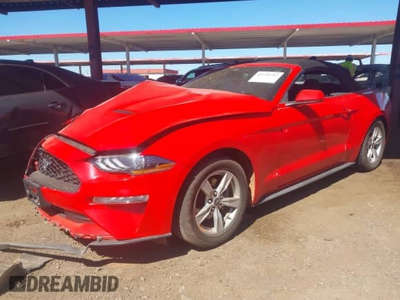 2023 Ford Mustang EcoBoost с VIN 1FATP8UH5P5111329, выставлен на аукционе IAAI как лот 43358782 с пробегом 46 154 миль миль и . История ставок и продаж доступна на DreamBid. Изображение 17.