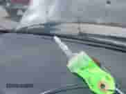 1996 Honda Accord LX with VIN 1HGCD563XTA292224, listed as a IAAI auction lot 43216693 with 214,313 mi miles and . Bid and sale history available at DreamBid. Image 11.