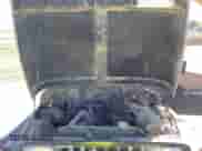 1994 Jeep Wrangler S with VIN 1J4FY19P2RP438316, listed as a IAAI auction lot 43497863 with 111,657 mi miles and . Bid and sale history available at DreamBid. Image 10.