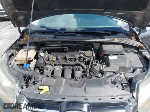 2014 Ford Focus Titanium with VIN 1FADP3N21EL340519, listed as a IAAI auction lot 43367551 with 161,343 mi miles and . Bid and sale history available at DreamBid. Image 10.