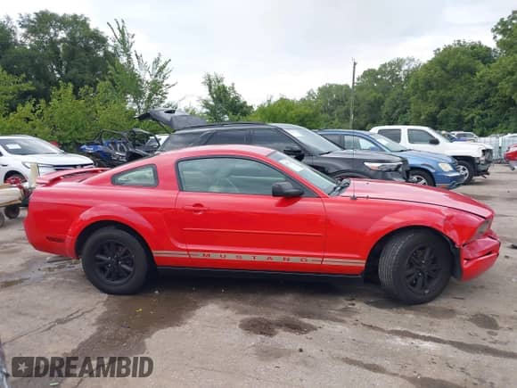 2005 Ford Mustang Deluxe с VIN 1ZVFT80N355177998, выставлен на аукционе IAAI как лот 42837004 с пробегом 140 443 миль миль и . История ставок и продаж доступна на DreamBid. Изображение 13.