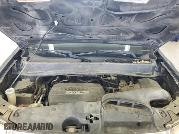 2009 Honda Pilot Touring with VIN 5FNYF48949B503928, listed as a Copart auction lot 81674065 with 172,293 mi miles and Salvage title. Bid and sale history available at DreamBid. Image 12.