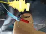 1998 Dodge Dakota SLT z VIN 1B7FL26X5WS716567, wystawiony jako IAAI lot #41078500 z przebiegiem 122 720 mil mil oraz . Historia ofert i sprzedaży dostępna na DreamBid. Obrazek 11.