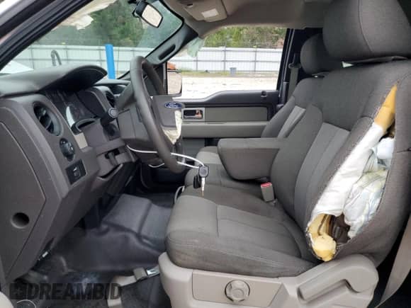 2010 Ford F-150 XL with VIN 1FTEX1CW8AFD74376, listed as a Copart auction lot 84368955 with Not provided miles and Salvage title. Bid and sale history available at DreamBid. Image 7.