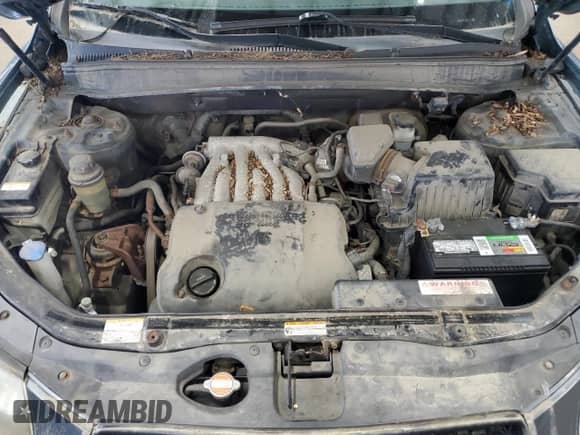 2009 Hyundai Santa Fe GLS with VIN 5NMSG73D09H318516, listed as a Copart auction lot 84410585 with 200,871 mi miles and Clean title. Bid and sale history available at DreamBid. Image 12.