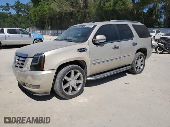 2009 Cadillac Escalade with VIN 1GYFK13299R164664, listed as a Copart auction lot 53430875 with 233,078 mi miles and Salvage title. Bid and sale history available at DreamBid. Image 1.