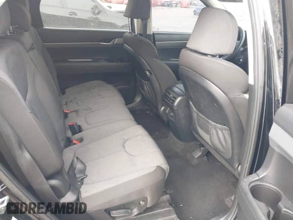 2022 Hyundai Palisade SE with VIN KM8R1DHE7NU400743, listed as a IAAI auction lot 41843369 with 51,597 mi miles and . Bid and sale history available at DreamBid. Image 8.