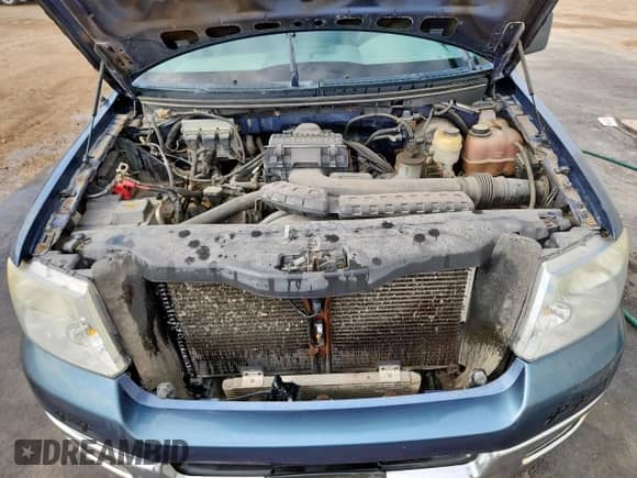 2005 Ford F-150 XLT with VIN 1FTPX14515NB69895, listed as a Copart auction lot 85126245 with Not provided miles and Clean title. Bid and sale history available at DreamBid. Image 11.