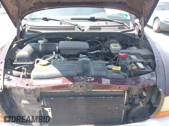 2004 Dodge Dakota SLT with VIN 1D7HG48N24S556431, listed as a IAAI auction lot 42591078 with 213,777 mi miles and . Bid and sale history available at DreamBid. Image 10.