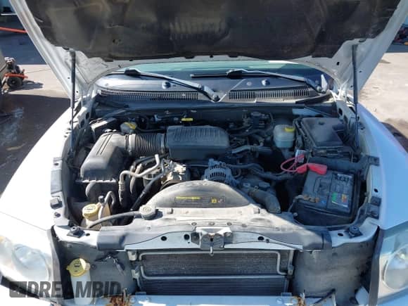 2005 Dodge Dakota SLT with VIN 1D7HW48N75S263077, listed as a IAAI auction lot 42537856 with 182,479 mi miles and . Bid and sale history available at DreamBid. Image 10.