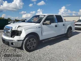 2014 Ford F-150 FX2 с VIN 1FTFW1CF6EKG41034, выставлен на аукционе Copart как лот 81861505 с пробегом 208 966 миль миль и Списание • Salvage title. История ставок и продаж доступна на DreamBid. Изображение 1.