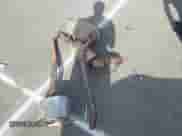 2007 Honda Accord EX-L with VIN 1HGCM56897A151517, listed as a IAAI auction lot 42163664 with Not provided miles and . Bid and sale history available at DreamBid. Image 11.