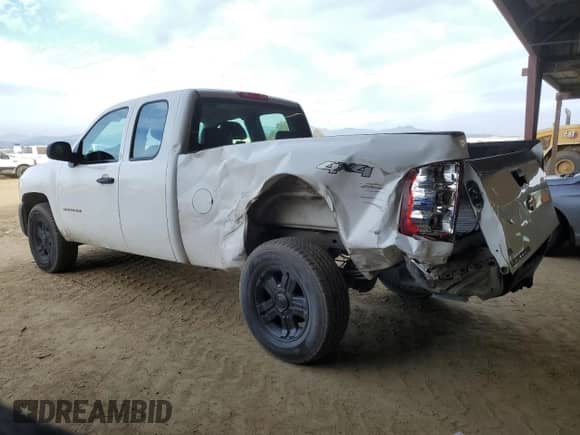 2010 Chevrolet Silverado 1500 Work Truck with VIN 1GCSKPE36AZ232971, listed as a Copart auction lot 42252495 with 175,710 mi miles and Salvage title. Bid and sale history available at DreamBid. Image 2.