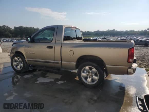 2002 Dodge 1500 z VIN 1D7HA16N22J241845, wystawiony jako Copart lot #80631095 z przebiegiem 374 581 mil mil oraz Szkoda całkowita • Salvage title. Historia ofert i sprzedaży dostępna na DreamBid. Obrazek 2.