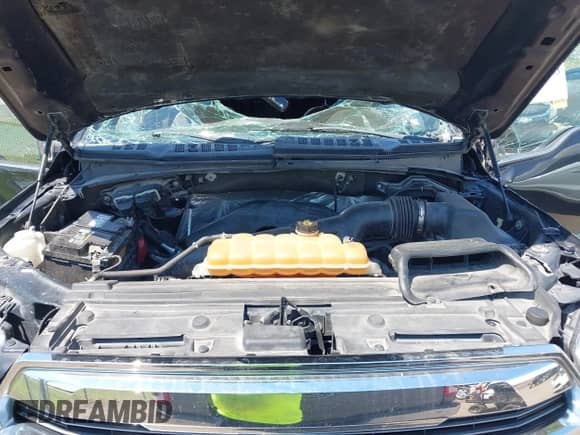 2015 Ford F-150 XLT with VIN 1FTEW1EG0FFC14556, listed as a IAAI auction lot 43034373 with 168,728 mi miles and . Bid and sale history available at DreamBid. Image 10.