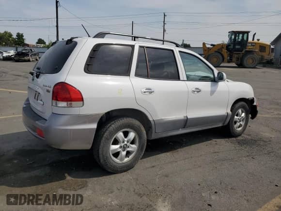 2005 Hyundai Santa Fe GLS with VIN KM8SC13E25U884385, listed as a Copart auction lot 71255135 with 162,945 mi miles and Salvage title. Bid and sale history available at DreamBid. Image 3.