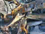 2016 Ford F-150 XLT z VIN 1FTEW1EF5GFC36755, wystawiony jako Copart lot #54695975 z przebiegiem Nie podano mil oraz Nie do naprawy • Non repairable. Historia ofert i sprzedaży dostępna na DreamBid. Obrazek 7.