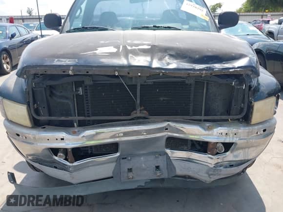 1998 Dodge 1500 with VIN 1B7HC16X8WS699766, listed as a IAAI auction lot 42938295 with 183,458 mi miles and . Bid and sale history available at DreamBid. Image 6.