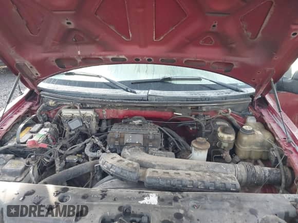 2005 Ford F-150 XLT with VIN 1FTPW14515KF00379, listed as a IAAI auction lot 43514137 with 230,113 mi miles and . Bid and sale history available at DreamBid. Image 10.