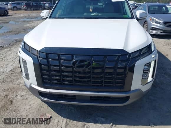 2023 Hyundai Palisade SEL z VIN KM8R4DGE8PU608514, wystawiony jako IAAI lot #42558179 z przebiegiem 34 277 mil mil oraz . Historia ofert i sprzedaży dostępna na DreamBid. Obrazek 12.