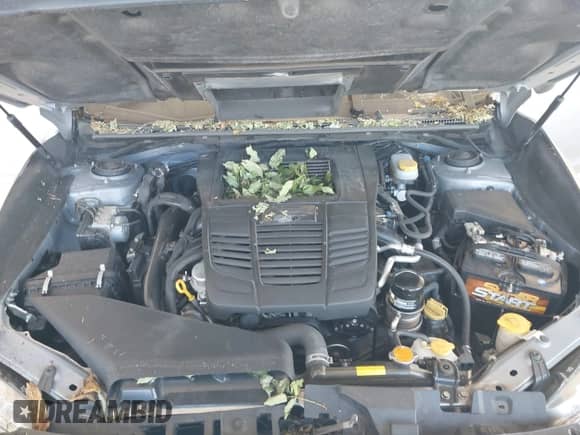 2019 Subaru WRX Premium with VIN JF1VA1B69K9819930, listed as a IAAI auction lot 43035202 with 120,460 mi miles and . Bid and sale history available at DreamBid. Image 10.