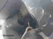 2019 Chevrolet Express Cargo z VIN 1GCWGAFP0K1351293, wystawiony jako IAAI lot #42499545 z przebiegiem Nie podano mil oraz . Historia ofert i sprzedaży dostępna na DreamBid. Obrazek 11.