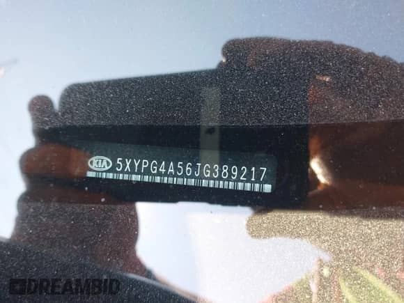 2018 Kia Sorento LX with VIN 5XYPG4A56JG389217, listed as a IAAI auction lot 43209100 with 246,791 mi miles and . Bid and sale history available at DreamBid. Image 9.