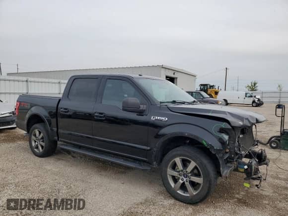 2017 Ford F-150 XL with VIN 1FTEW1EF0HFA31930, listed as a Copart auction lot 81776965 with 130,610 mi miles and Salvage title. Bid and sale history available at DreamBid. Image 4.