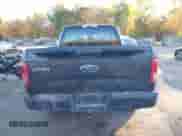 2016 Ford F-150 XLT z VIN 1FTEX1EP7GFB61305, wystawiony jako IAAI lot #43480475 z przebiegiem 275 724 mil mil oraz . Historia ofert i sprzedaży dostępna na DreamBid. Obrazek 16.