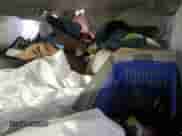 2013 Toyota Sienna L z VIN 5TDZK3DC3DS312727, wystawiony jako Copart lot #48365455 z przebiegiem Nie podano mil oraz Nie do naprawy • Non repairable. Historia ofert i sprzedaży dostępna na DreamBid. Obrazek 8.