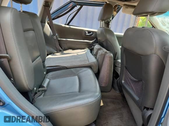 2004 Hyundai Santa Fe GLS z VIN KM8SC73E14U663801, wystawiony jako Copart lot #63306745 z przebiegiem Nie podano mil oraz Nie do naprawy • Non repairable. Historia ofert i sprzedaży dostępna na DreamBid. Obrazek 11.
