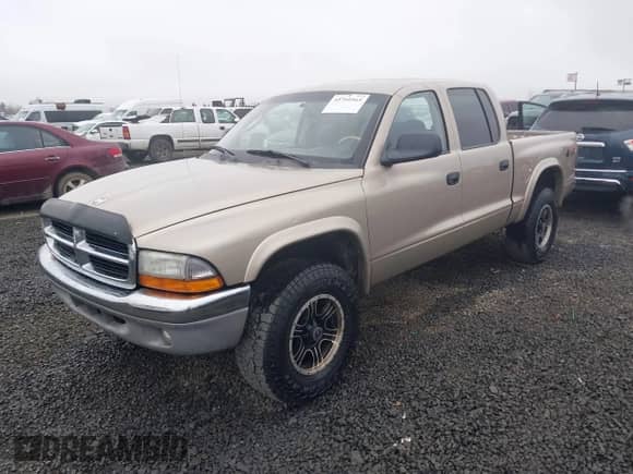 2004 Dodge Dakota SLT with VIN 1D7HG48NX4S596370, listed as a IAAI auction lot 41760565 with 232,409 mi miles and . Bid and sale history available at DreamBid. Image 22.