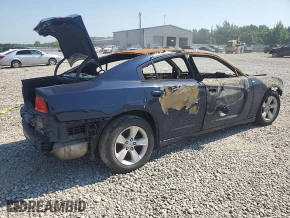 2014 Dodge Charger SE with VIN 2C3CDXBG7EH191959, listed as a Copart auction lot 58728685 with Not provided miles and Non repairable. Bid and sale history available at DreamBid. Image 3.