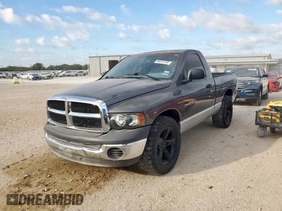 2002 Dodge 1500 z VIN 1D7HA16K32J214675, wystawiony jako Copart lot #86512145 z przebiegiem 160 614 mil mil oraz Szkoda całkowita • Salvage title. Historia ofert i sprzedaży dostępna na DreamBid. Obrazek 1.