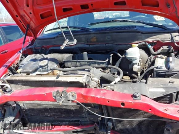 2002 Dodge RAM with VIN 1B7HU18N82J108666, listed as a IAAI auction lot 42040263 with 294,152 mi miles and . Bid and sale history available at DreamBid. Image 10.