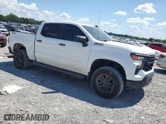 2022 Chevrolet Silverado 1500 Custom Trail Boss с VIN 3GCPDCEK7NG566156, выставлен на аукционе Copart как лот 64848815 с пробегом 74 084 миль миль и Списание • Salvage title. История ставок и продаж доступна на DreamBid. Изображение 4.
