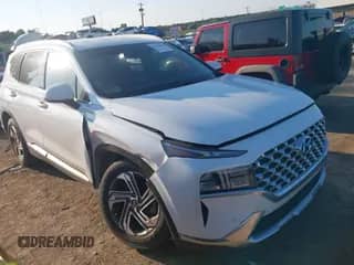 2021 Hyundai Santa Fe SEL с VIN 5NMS24AJ6MH318230, выставлен на аукционе IAAI как лот 43106688 с пробегом 63 291 миль миль и . История ставок и продаж доступна на DreamBid. Изображение 1.