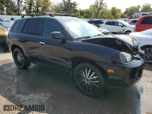 2003 Hyundai Santa Fe GLS with VIN KM8SC13D63U360869, listed as a Copart auction lot 70447874 with 206,488 mi miles and Salvage title. Bid and sale history available at DreamBid. Image 4.