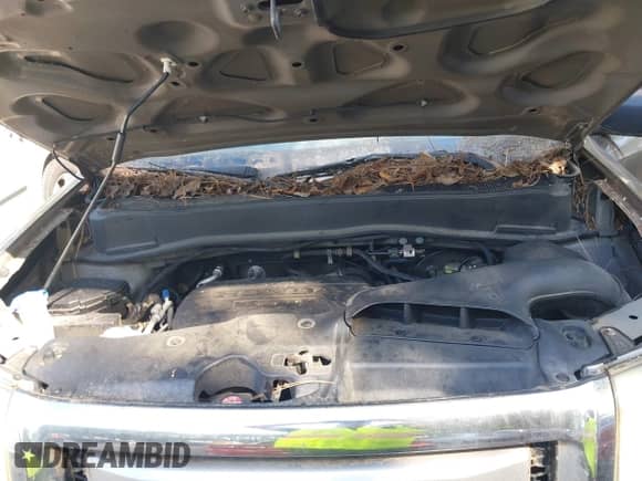 2010 Honda Pilot LX with VIN 5FNYF3H28AB009931, listed as a IAAI auction lot 43133256 with 149,119 mi miles and . Bid and sale history available at DreamBid. Image 10.