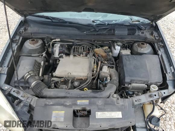 2005 Chevrolet Malibu Maxx LS с VIN 1G1ZT62845F168371, выставлен на аукционе Copart как лот 69974254 с пробегом 287 583 миль миль и Списание • Salvage title. История ставок и продаж доступна на DreamBid. Изображение 13.