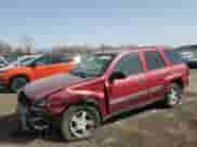 2002 Chevrolet TrailBlazer LS with VIN 1GNDT13S422462068, listed as a Copart auction lot 46504315 with 234,984 mi miles and Salvage title. Bid and sale history available at DreamBid. Image 1.