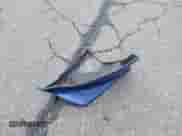 2016 Scion FR-S with VIN JF1ZNAA15G8703410, listed as a IAAI auction lot 43021417 with 105,283 mi miles and . Bid and sale history available at DreamBid. Image 12.