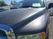 2002 Dodge 1500 z VIN 1D7HA16N42J225064, wystawiony jako IAAI lot #42932438 z przebiegiem 136 368 mil mil oraz . Historia ofert i sprzedaży dostępna na DreamBid. Obrazek 6.