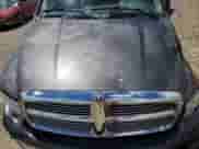2004 Dodge 1500 ST z VIN 1D3HU18D64J274010, wystawiony jako Copart lot #60572594 z przebiegiem Nie podano mil oraz Szkoda całkowita • Salvage title. Historia ofert i sprzedaży dostępna na DreamBid. Obrazek 11.