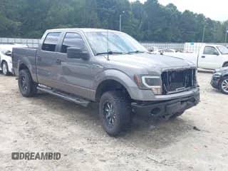 2013 Ford F-150 XLT z VIN 1FTEW1CM8DFB69050, wystawiony jako IAAI lot #43053717 z przebiegiem 117 676 mil mil oraz . Historia ofert i sprzedaży dostępna na DreamBid. Obrazek 1.