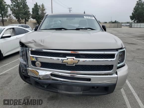 2009 Chevrolet Silverado 1500 Work Truck with VIN 1GCEC14X29Z221991, listed as a Copart auction lot 53161025 with 164,426 mi miles and Salvage title. Bid and sale history available at DreamBid. Image 5.