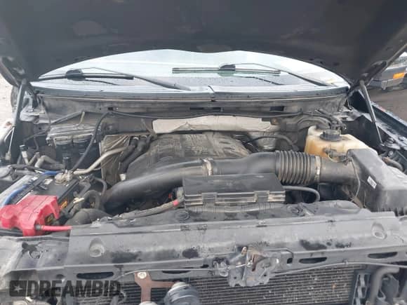 2013 Ford F-150 XL with VIN 1FTFW1ET8DFC32981, listed as a IAAI auction lot 42747652 with 167,299 mi miles and . Bid and sale history available at DreamBid. Image 10.