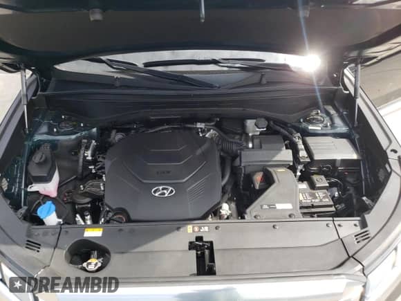 2024 Hyundai Palisade Calligraphy with VIN KM8R7DGE2RU744213, listed as a Copart auction lot 66895475 with 6,992 mi miles and Salvage title. Bid and sale history available at DreamBid. Image 11.