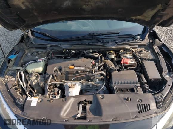 2016 Honda Civic LX с VIN 2HGFC2F50GH539144, выставлен на аукционе IAAI как лот 43253321 с пробегом 182 759 миль миль и . История ставок и продаж доступна на DreamBid. Изображение 10.